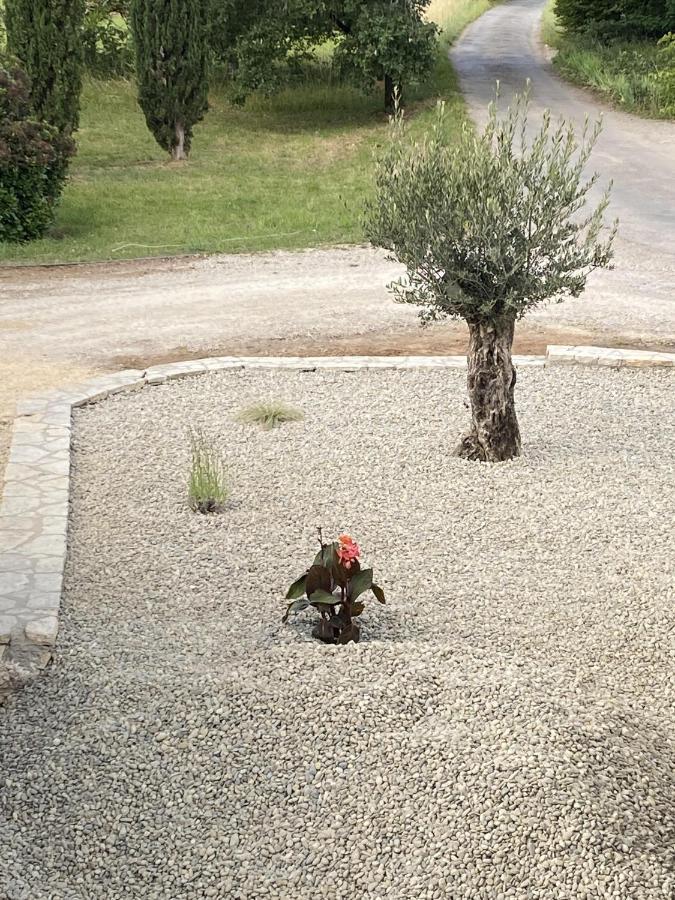 Le Jardin Du Moustoulac Chambres D'Hotes カオール エクステリア 写真